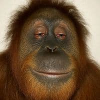 TikTok Account - ustaad__farma