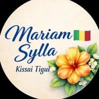 TikTok Account - mariam.sylla71600