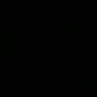 TikTok Account - kallini00