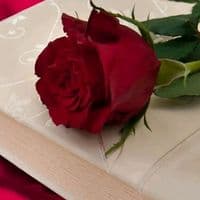 TikTok Account - gulizamuje1m