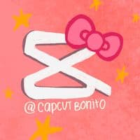 TikTok Account - capcutbonito