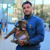 TikTok Account - alibabawi08