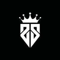 TikTok Account - zs.music6