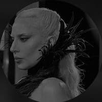 TikTok Account - themonsterfiles