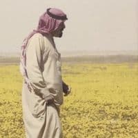 TikTok Account - xqchf