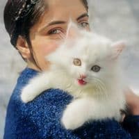 TikTok Account - derywalbaby27