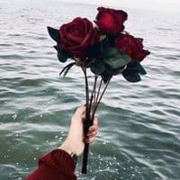 TikTok Account - em.ghazal0