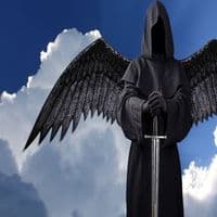 TikTok Account - xzxxndmx