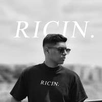 TikTok Account - ricin.za