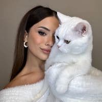 TikTok Account - vildangultekinn