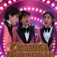 TikTok Account - cumbiapedregal