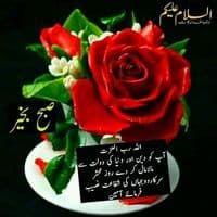 TikTok Account - ishtiaqgishtiaq88