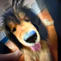 TikTok Account - tiktok_flowz99