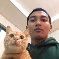 TikTok Account - yanbo25