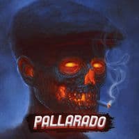 TikTok Account - pallarado