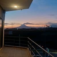 TikTok Account - murushohdez