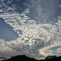 TikTok Account - t_vashini23