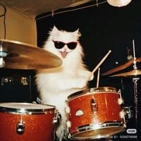 TikTok Account - rolas_miaw