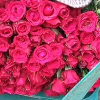 TikTok Account - ma.mohamood.rubil