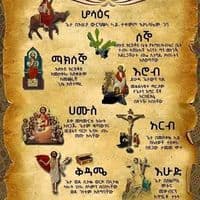 TikTok Account - mesekerem42