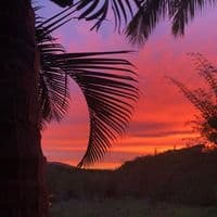 TikTok Account - alanksmrlaviee._