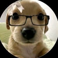 TikTok Account - ngoisaovang