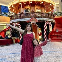 TikTok Account - joycelineve