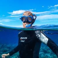 TikTok Account - thedivingholliday