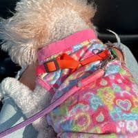 TikTok Account - aylin_aylin0808