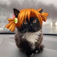 TikTok Account - imreq.pubgm