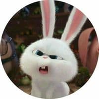 TikTok Account - diagorita1