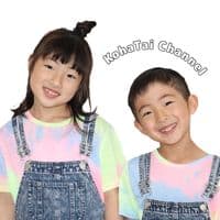 TikTok Account - kohataichannel