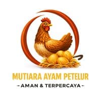 TikTok Account - mutiara.ayam.petelur