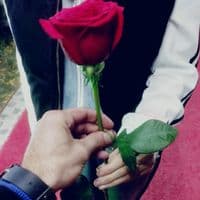 TikTok Account - zhralkbrova77