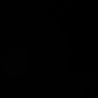 TikTok Account - 5005bk