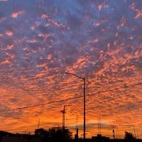 TikTok Account - solossolounmomento