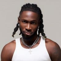 TikTok Account - incrediblezigi