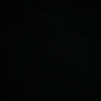 TikTok Account - shanibby66