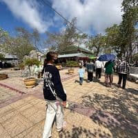 TikTok Account - ngknh8