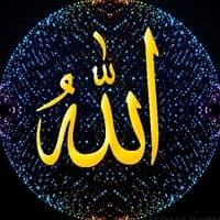 TikTok Account - nyr730