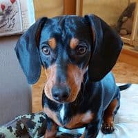 TikTok Account - trueblood70