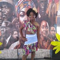 TikTok Account - aychavitoriapereiradejes