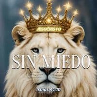 TikTok Account - evangelioensantidad