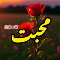 TikTok Account - shahid_vains786