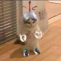 TikTok Account - c5hehehehehe