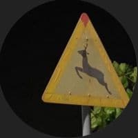 TikTok Account - ufl.l