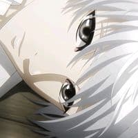 TikTok Account - nutluvcats