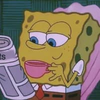 TikTok Sound - original sound - visnarey