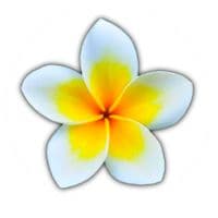 TikTok Account - senibua_trackz