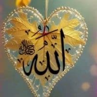 TikTok Account - tumharabaccha